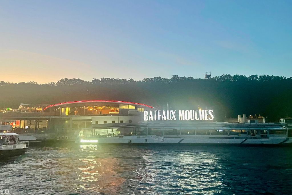 A view of Bateaux Mouches 